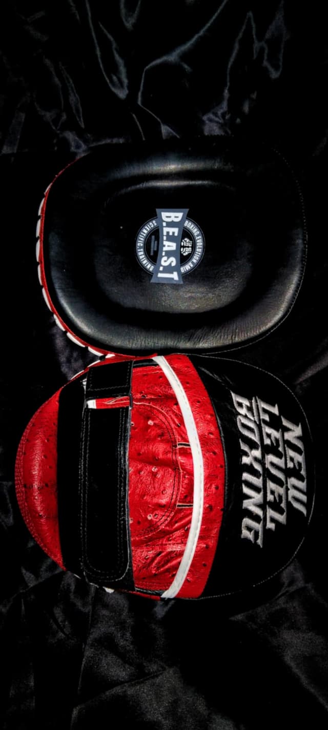 Custom B.A.M. Coaches Mitts